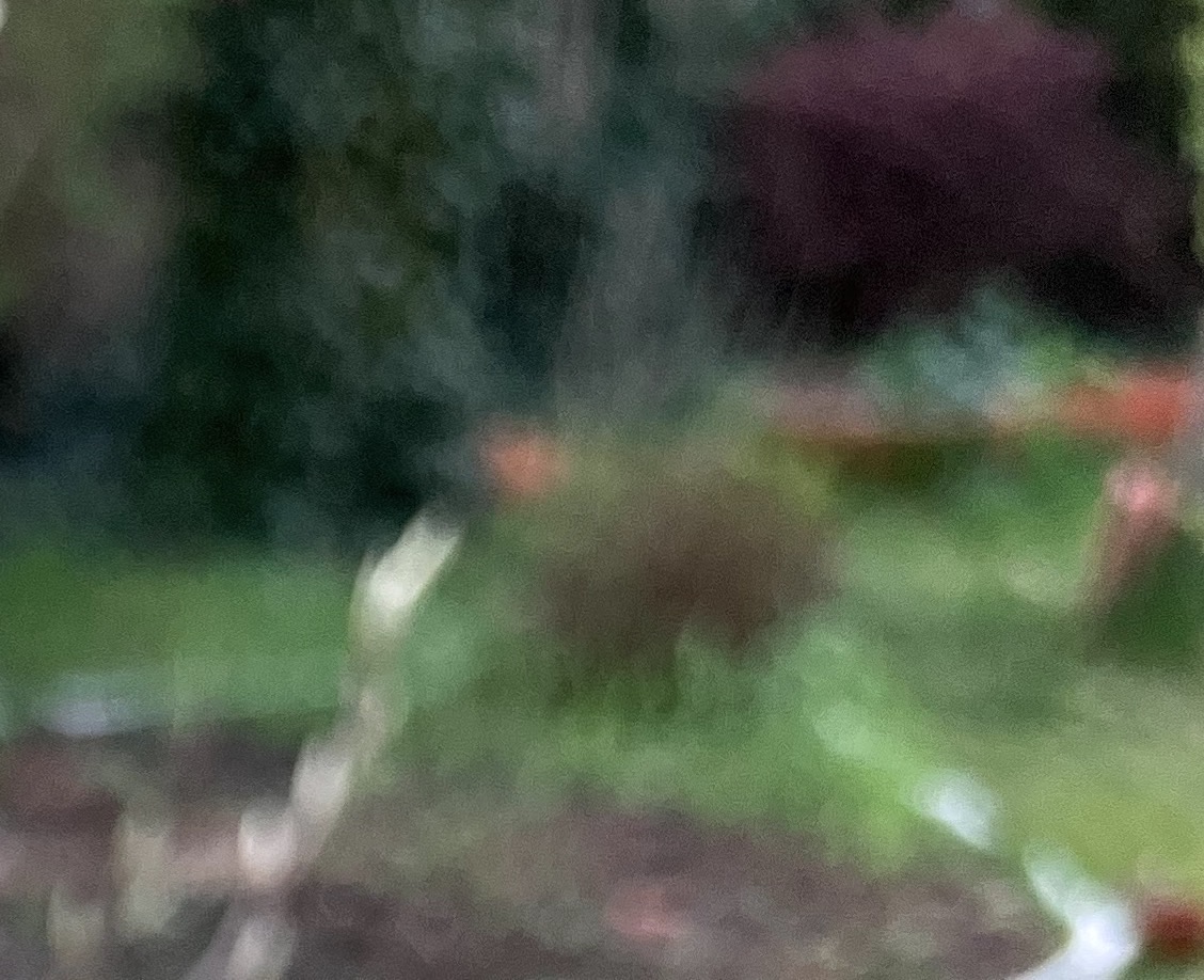 Foto 224